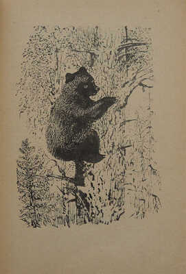 Бианки В.В. Кувырк и другие рассказы / Рис. В. Курдова, И. Ризнича. М.; Л.: Детгиз, 1953.